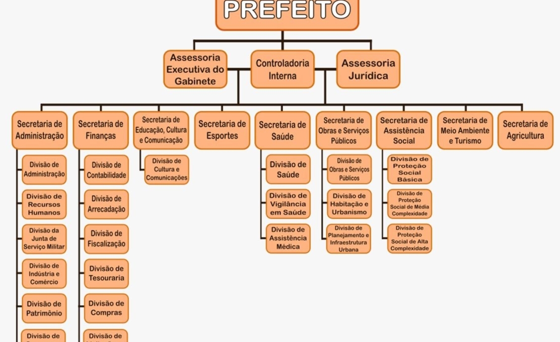 Novo Organograma