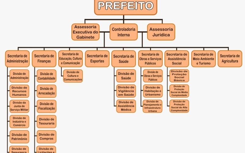 Novo Organograma